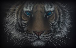 Perfect Opportunity by Colin Banks - Original Painting on Aluminium sized 38x24 inches. Available from Whitewall Galleries